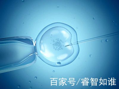 嘉会医疗